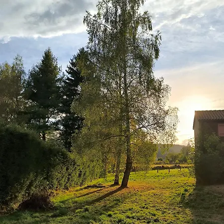 2 En Auvergne, Avec Jardin, Ou Avec Terrasse Chalet